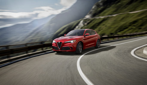 STELVIO FIRST EDITION