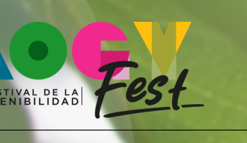 Hoy abre sus puertas el Mogy Fest